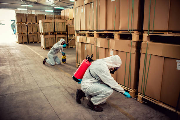 Pest Control Cost in East Tawas, MI