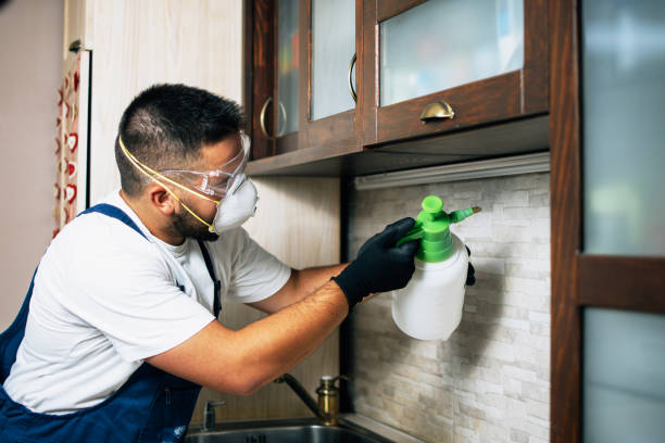 Best Flea Control Services  in East Tawas, MI