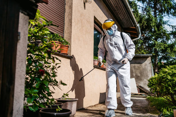 Trusted East Tawas, MI Pest Control Experts