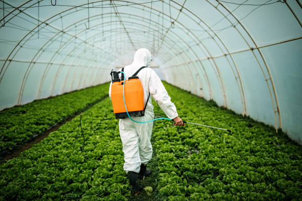 Best Pest Removal Services  in East Tawas, MI