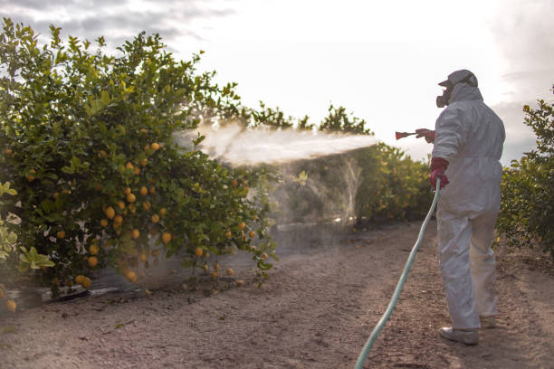 Best Wildlife Control Services  in East Tawas, MI