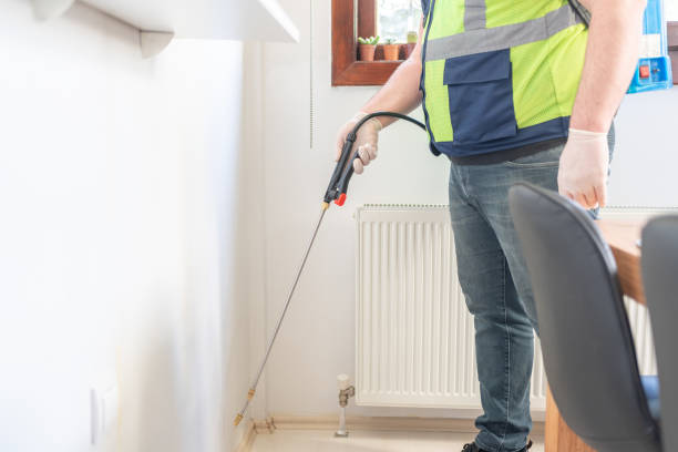 Best Local Pest Control Services  in East Tawas, MI