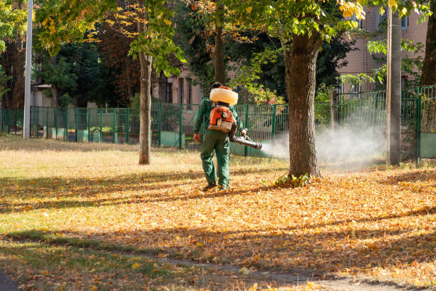 Best Best Pest Control Companies  in East Tawas, MI