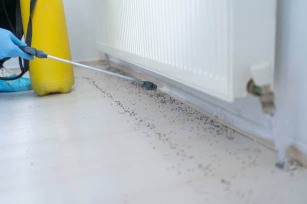 Best Pest Prevention Services  in East Tawas, MI
