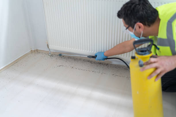 Best Exterminator Services  in East Tawas, MI