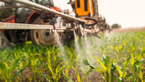 Best Wildlife Control Services  in East Tawas, MI